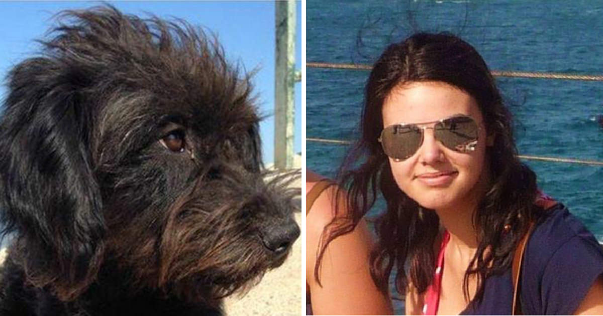 2 hombres la atacaron. Entonces la perra callejera llegó y la salvó. Un