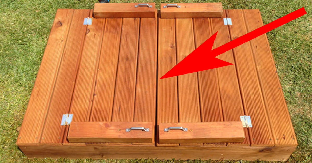 Parece una caja de madera normal en la hierba. Pero cuando la abre… ¡Wow!