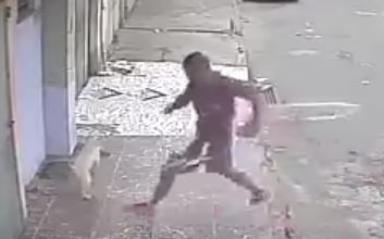 patada a perro