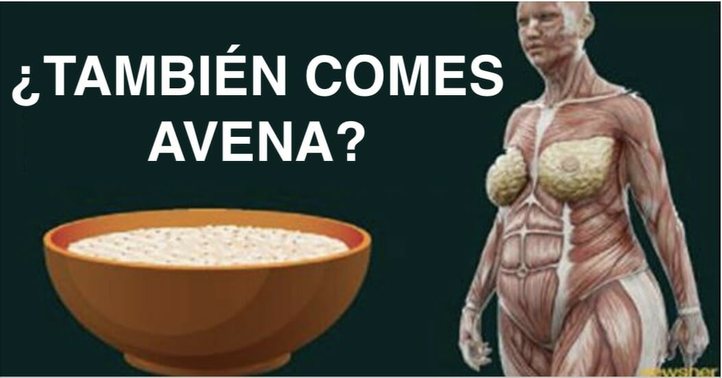 Que pasa si consumes avena todos los dias