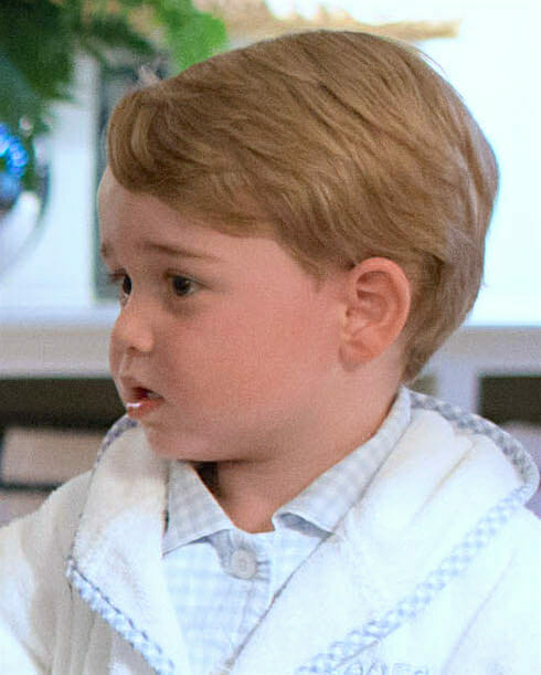 Prins George