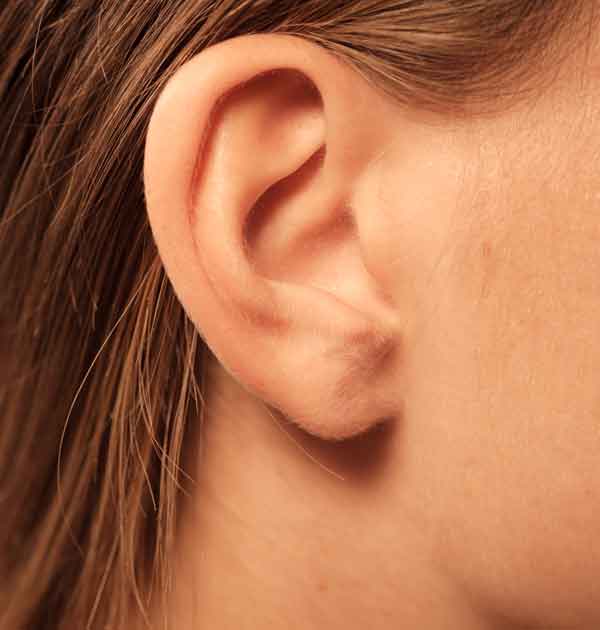 oreja