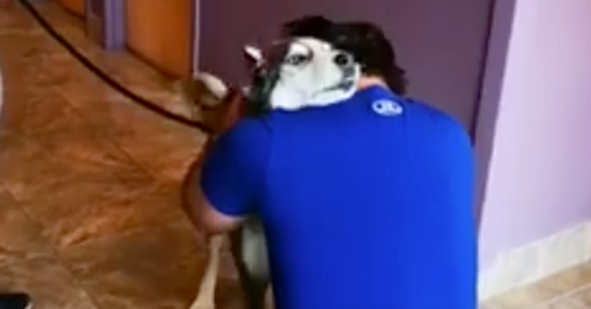 reencuentro