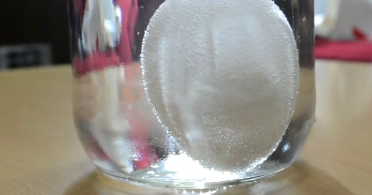 How To Dissolve An Eggshell With White Vinegar To Make Your Own Squishy