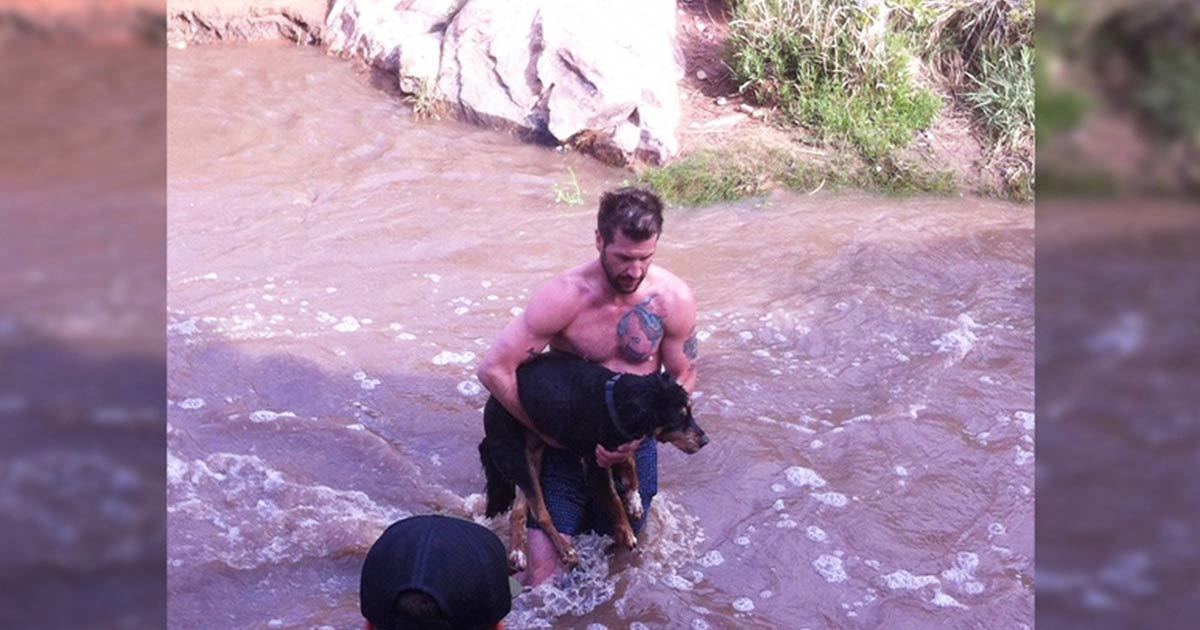 Man Rips Off His Clothes And Dives Into A Raging Torrent To Save A Dog ...