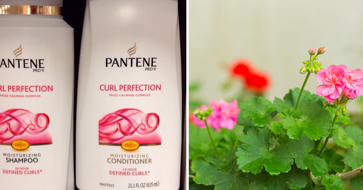 19 unexpected and effective ways to use conditioner