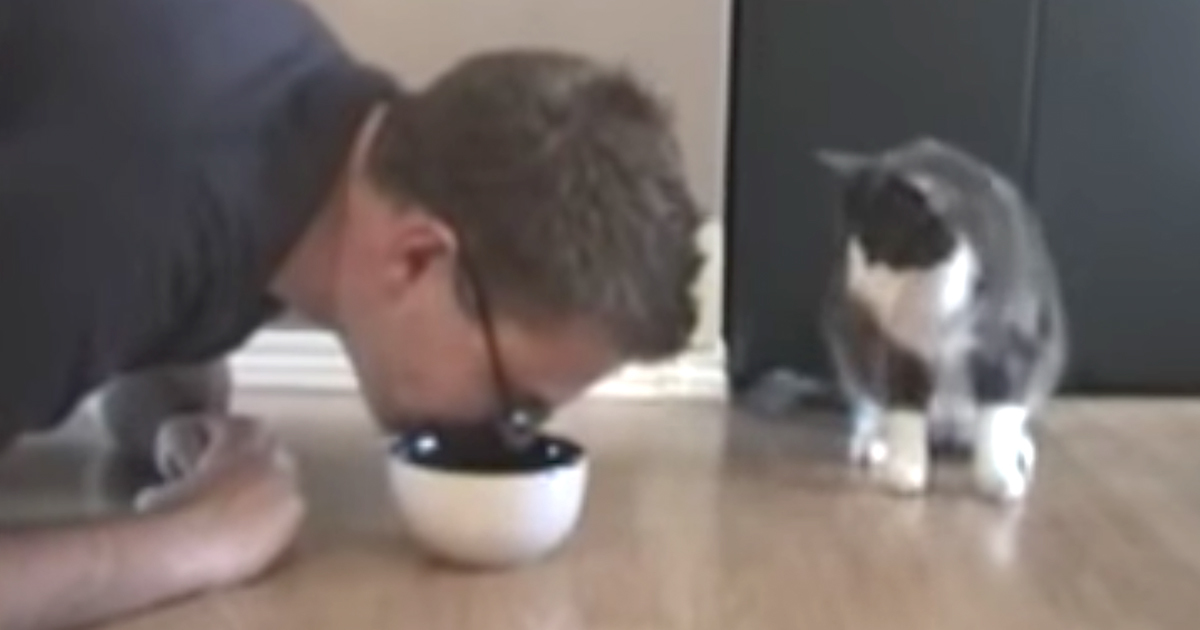 Guy pretends to eat cat food now his cat's hilarious reaction has the