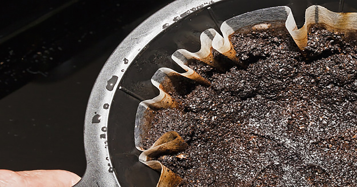 coffee grounds Read up on all the latest about coffee grounds on Newsner