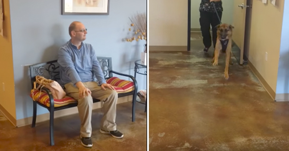 They Were Apart For 2 Weeks - Watch This Dog's Response When He Sees ...