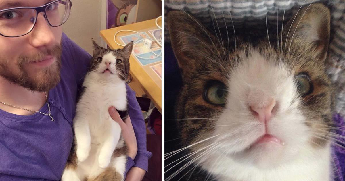 Meet Monty The Cat With Down Syndrome That S Capturing Hearts Around The World