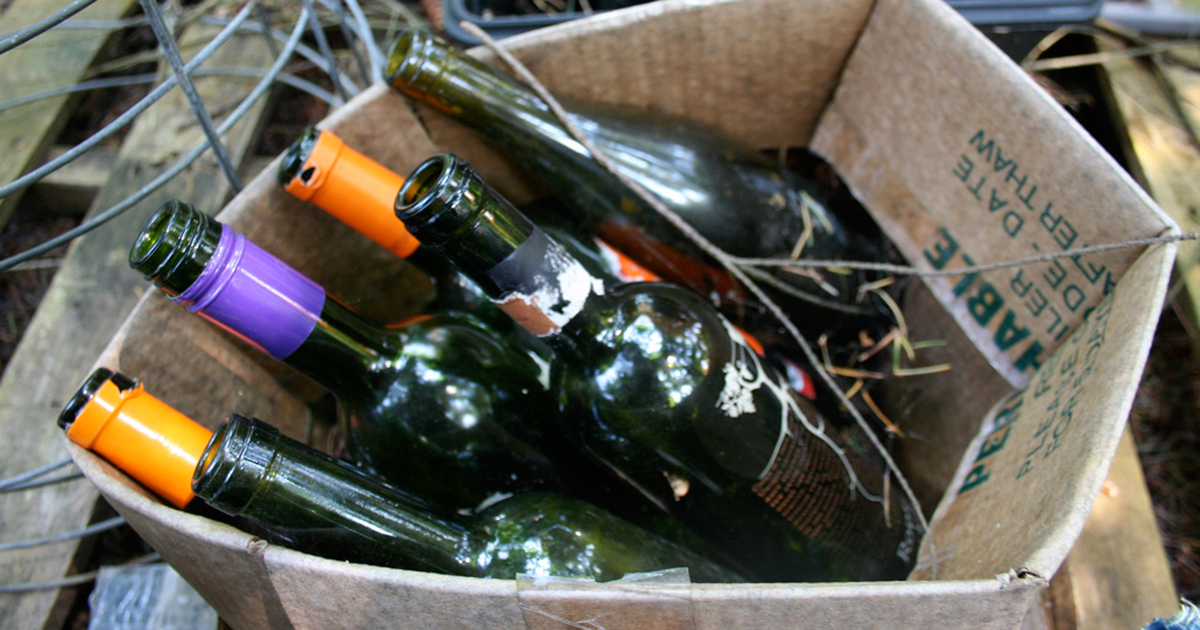 She Picks Up Empty Wine Bottles From The Trash. Seconds Later… I Must