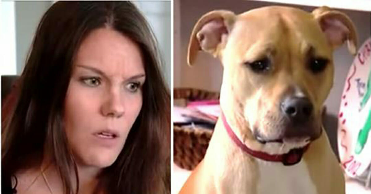 Mom Wakes Up After Pit Bull Growls At Her Soon Realizes Son Is In Trouble