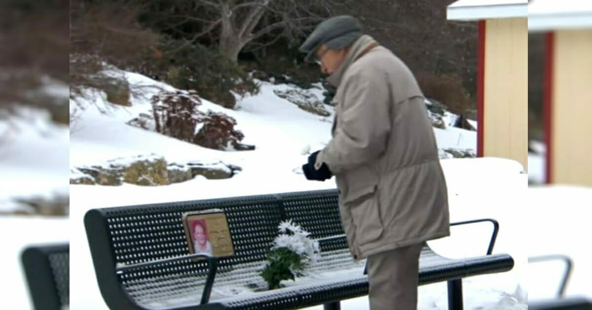 Old Man Able To Visit Dead Wife S Bench Thanks To Help From Two