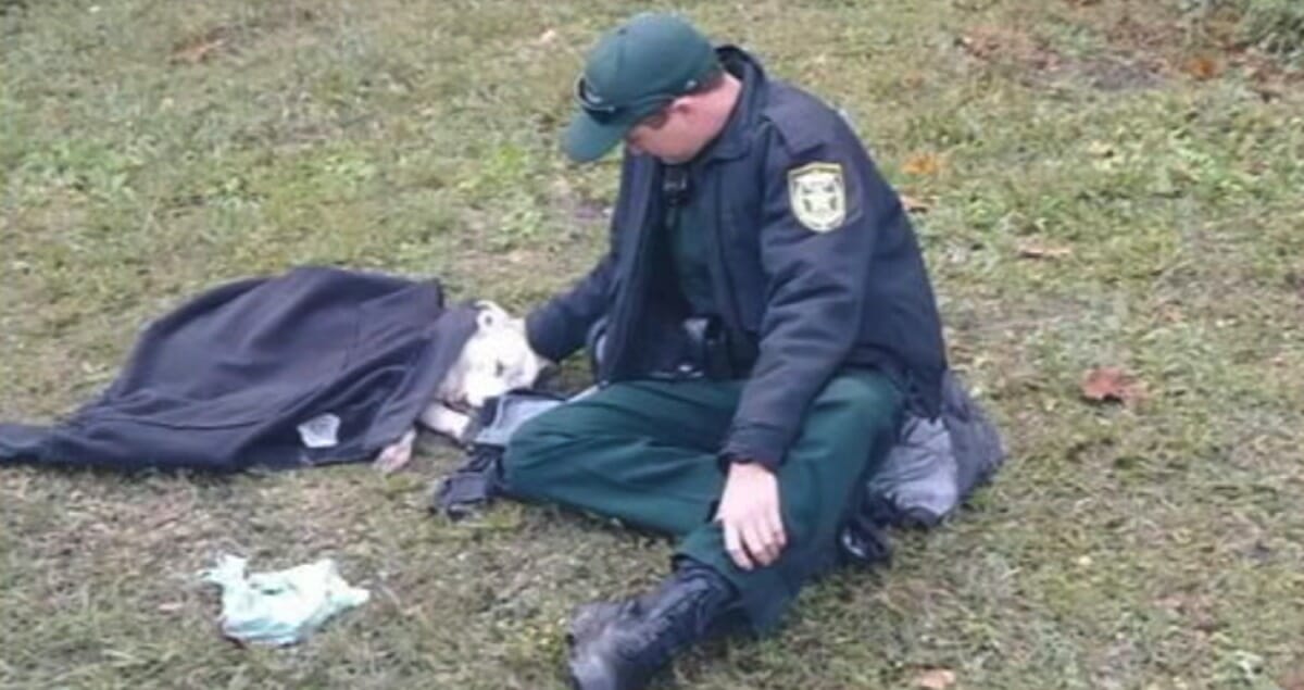 Police officer protects injured dog with own jacket – help us pay tribute