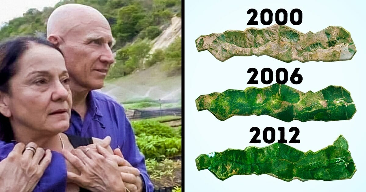 Couple spends 20 years replanting 1,754acre forest in