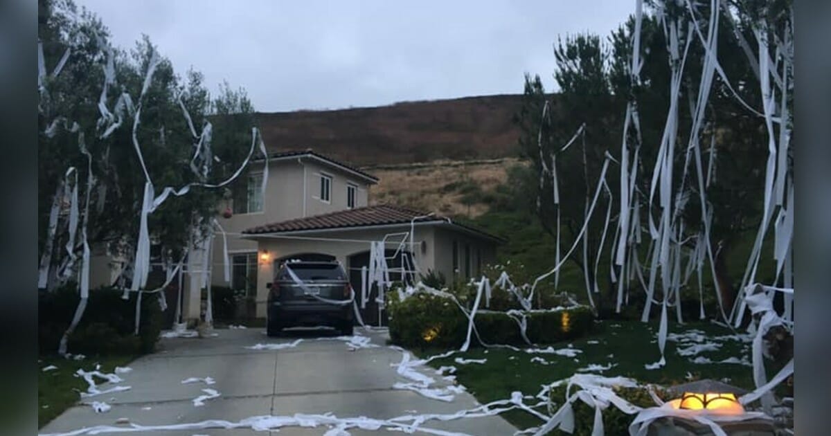 Mom's reaction to pranksters throwing toilet paper all over yard goes viral
