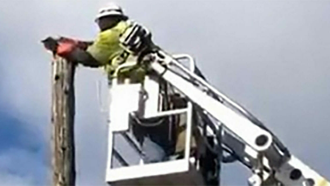 Image result for Man suspended after rescuing a cat stuck on top of a pole