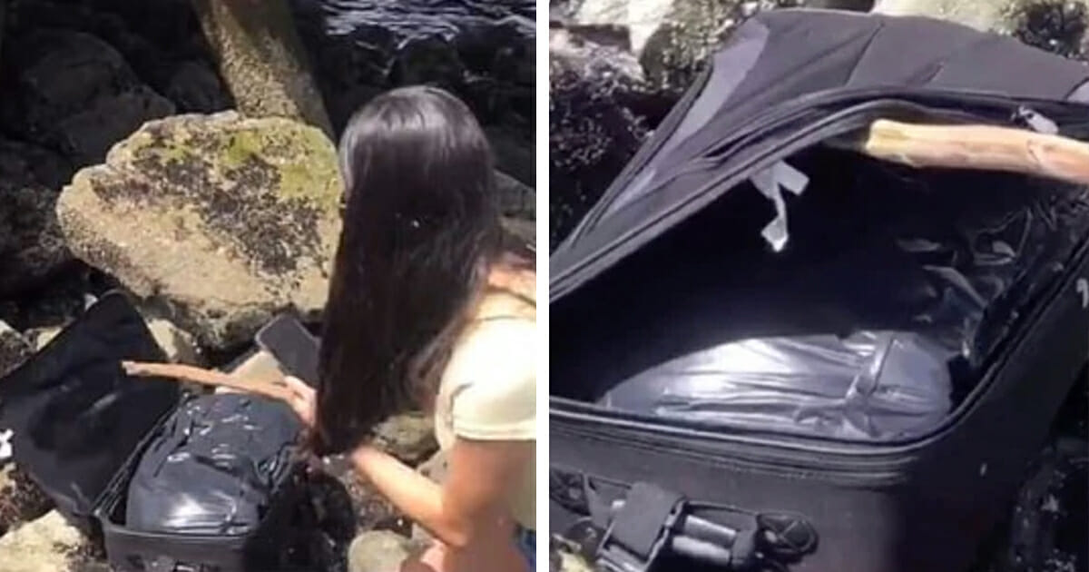 Teens Find Suitcase Containing Human Remains While Filming Tiktok Video 9581