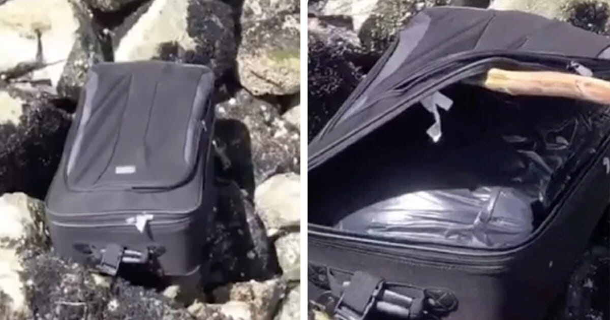 Teens find suitcase containing human remains while filming TikTok video