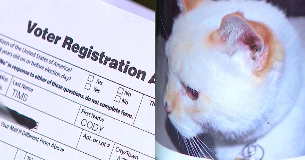 Atlanta family receives voter registration application in the mail for