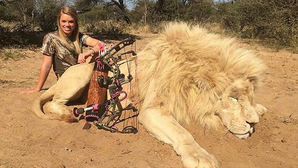 hunter call of the wild how to find a diamond trophy animal hunter call of the wild how to find a diamond trophy animal