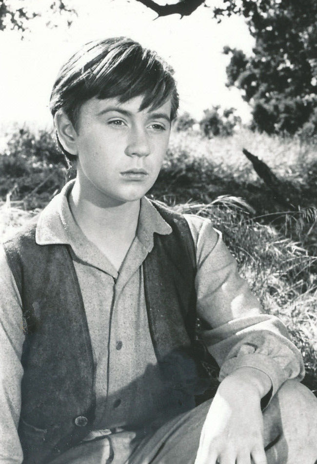 Exploring The Iconic TV Shows Featuring Tommy Kirk