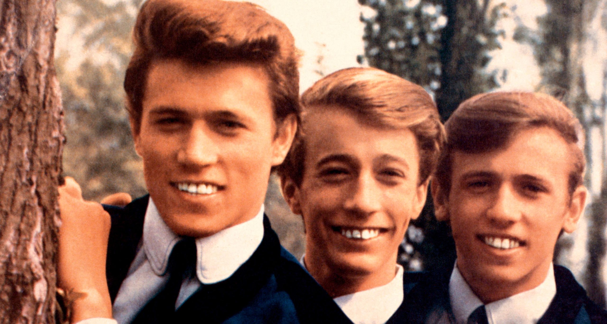 Andy Gibb’s cause of death this is how Bee Gees’ brother passed away, at age 30 Happy Day