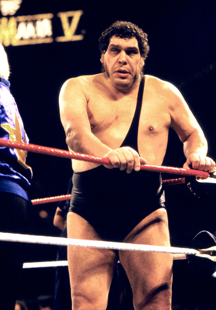 andre-the-giant-net-worth-career-weight-and-true-height