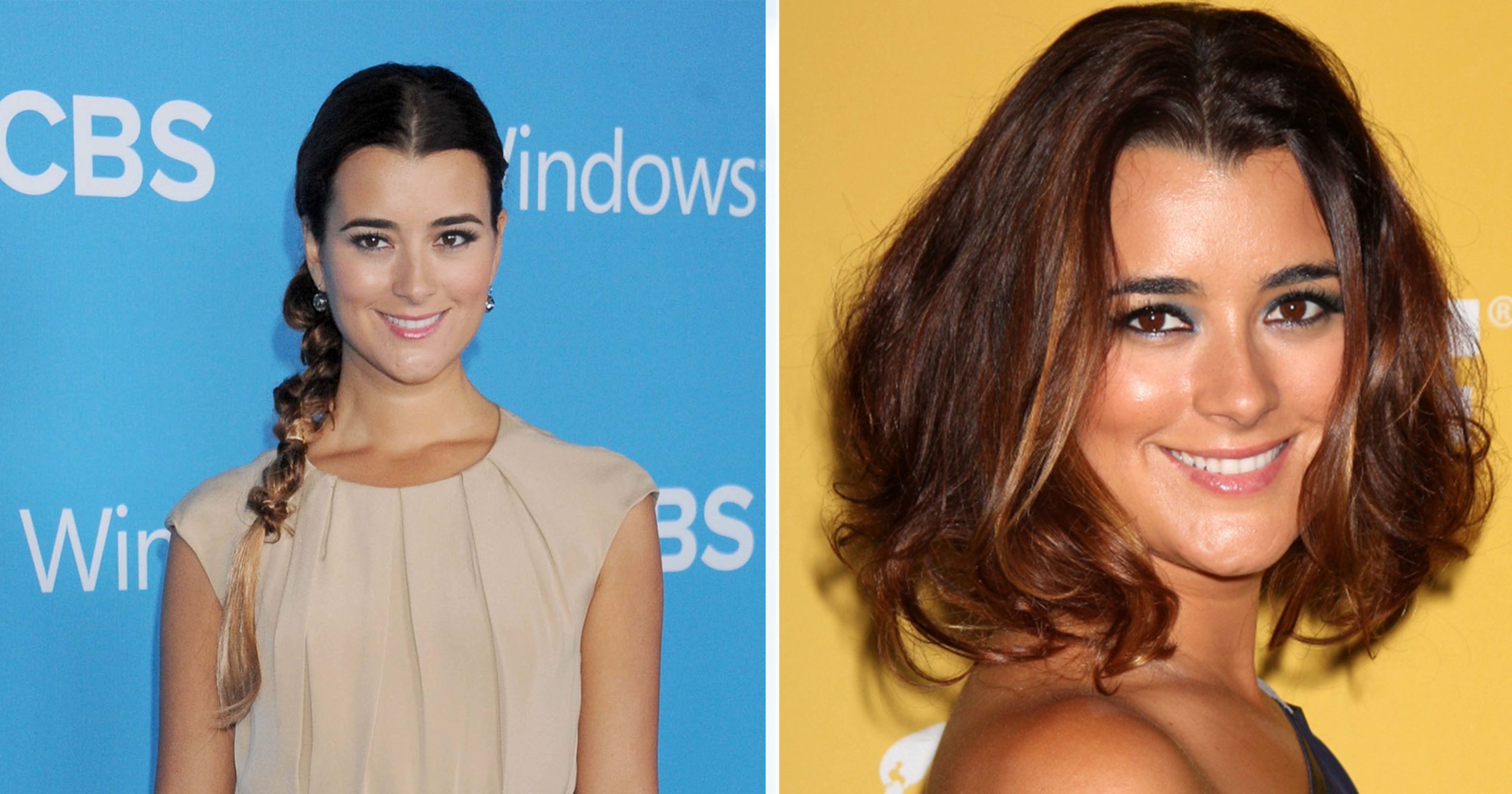 'NCIS' sar Cote de Pablo reveals her true feelings about Mark Harmon