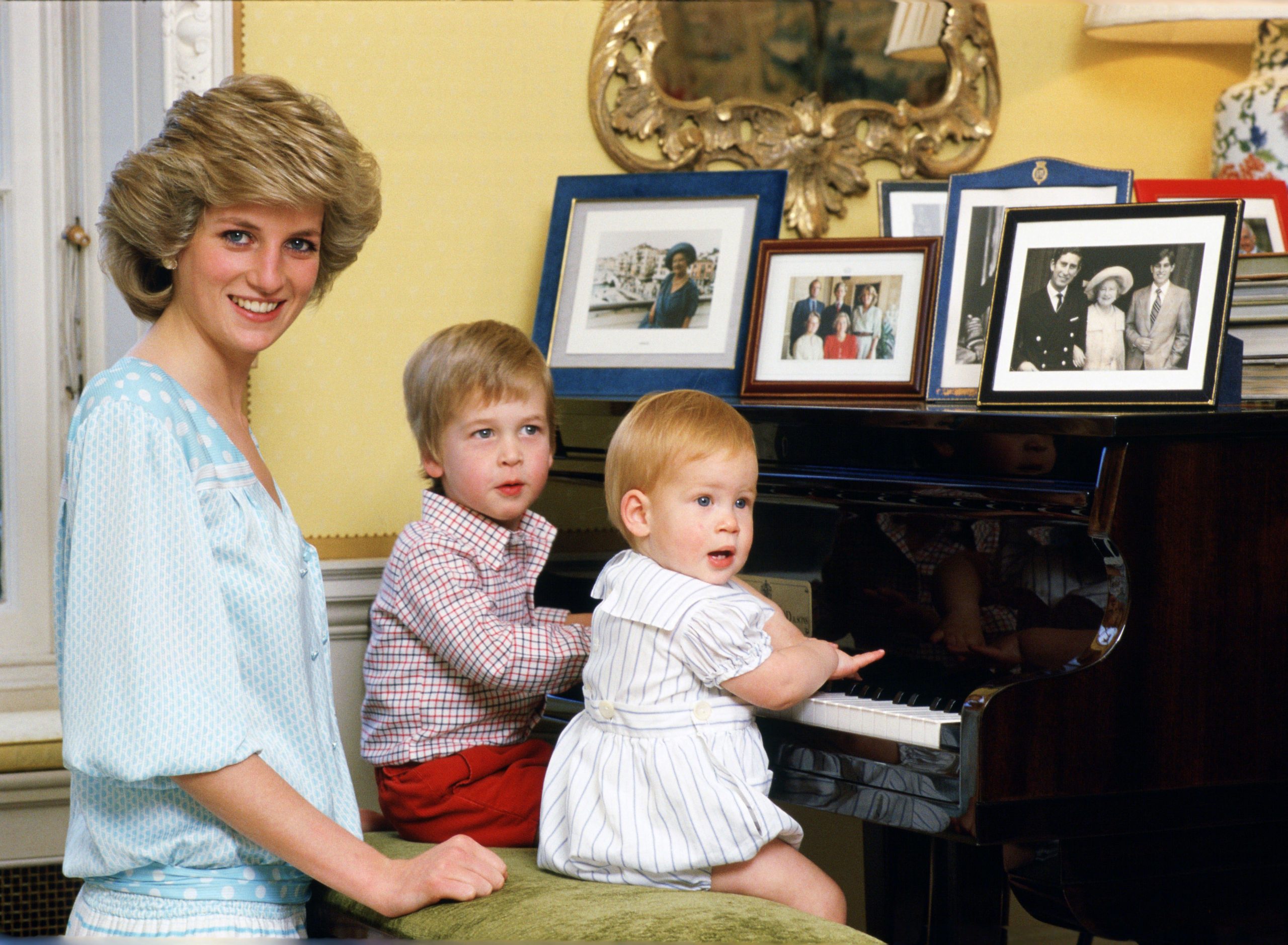 Prince WIlliam, Princess Diana, Prince Harry
