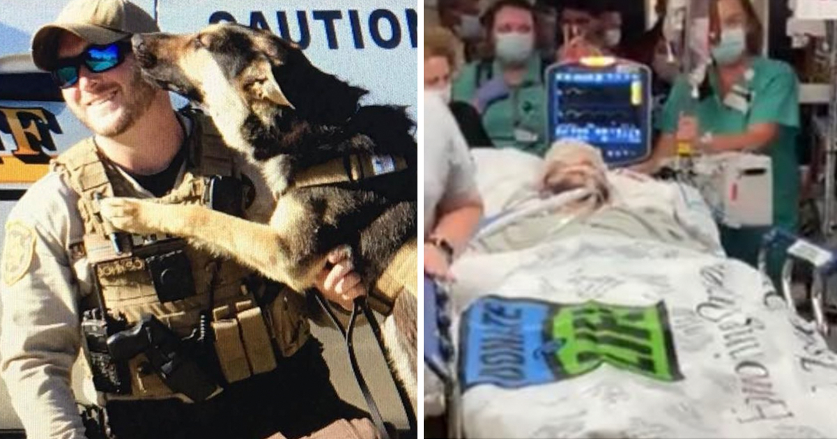 Deputy Brad Johnson Read up on all the latest about Deputy Brad