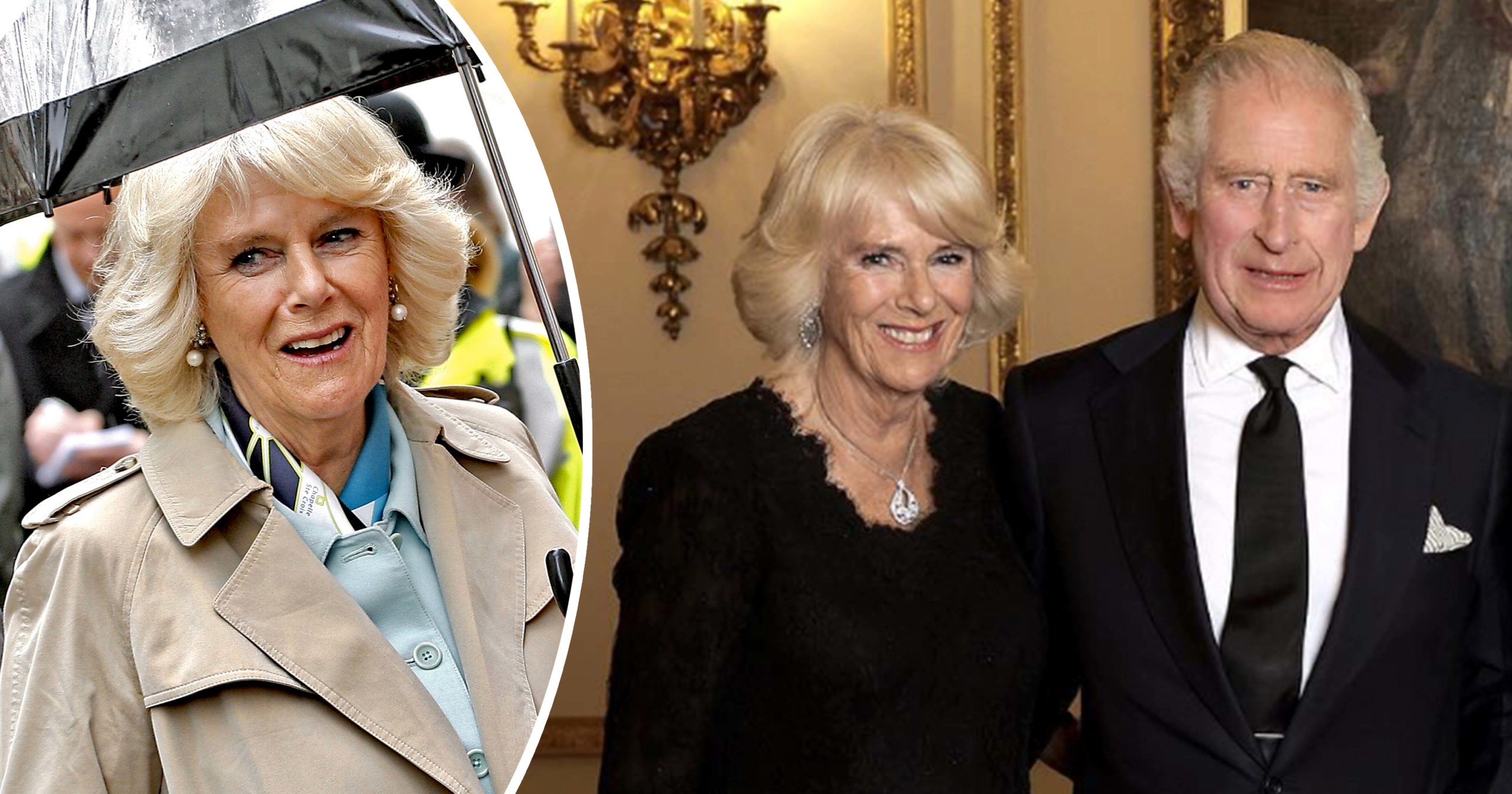 Detail of Camilla in new picture leaves us stunned...