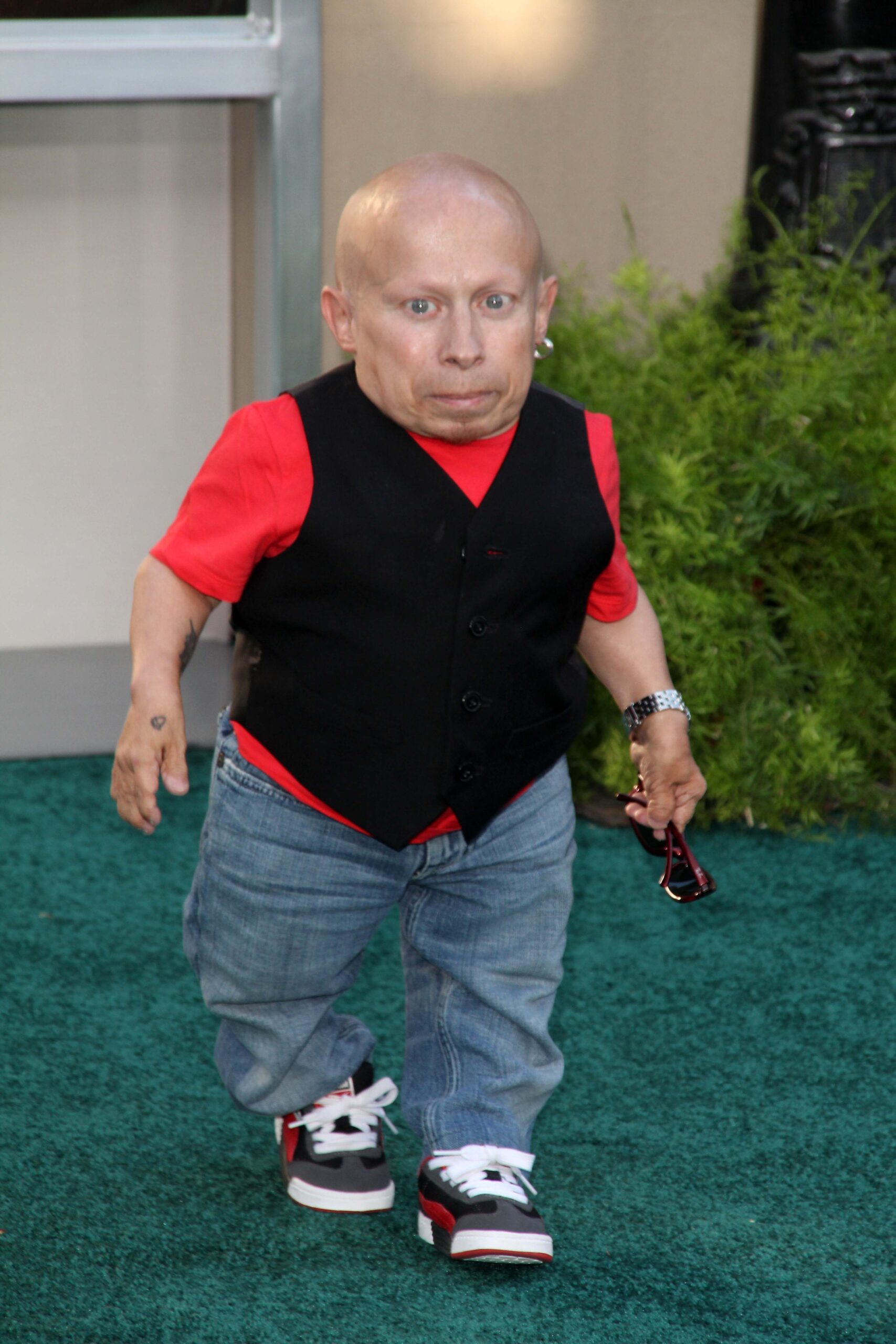 Verne Troyer