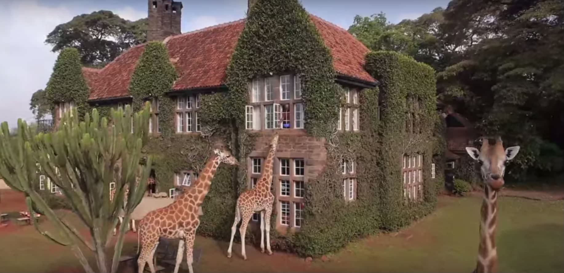 alberghi giraffa