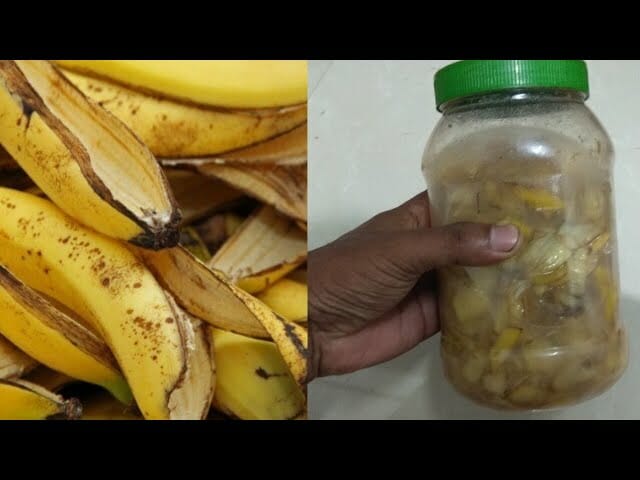 bananskal i naturen bananskal i naturen