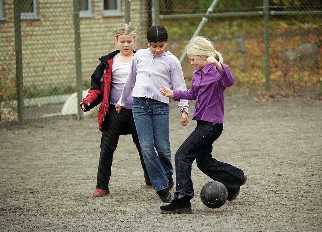 Mobilförbud på rasterna