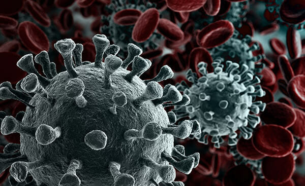 coronavirus, coronaviruset, covid-19