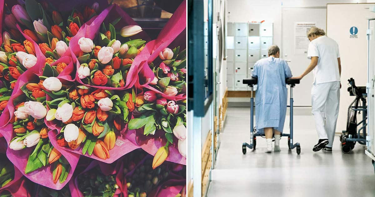 tulpaner, vårdpersonal, coronavirus