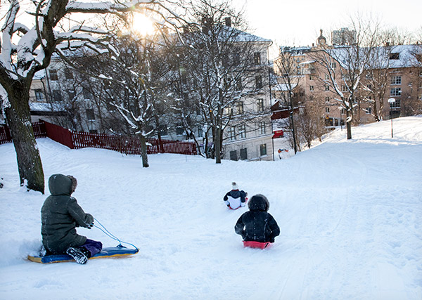 snö, pulka, lek, vinter