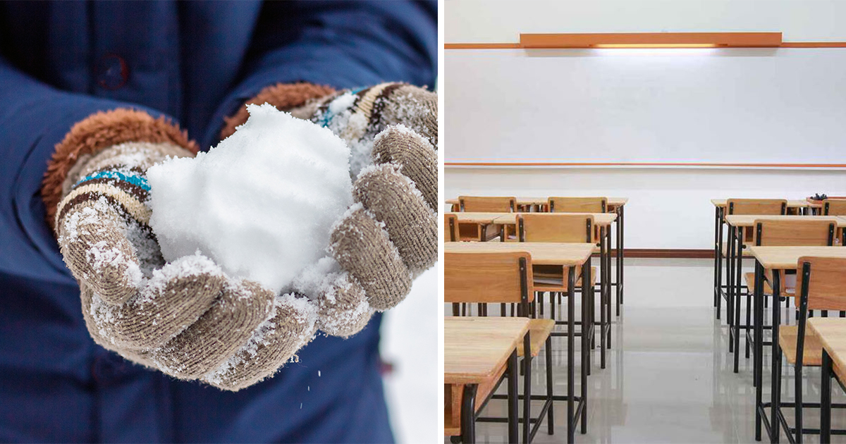 Snöboll, lärare, elev