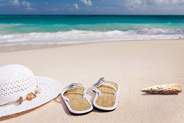 semester, strand, sol