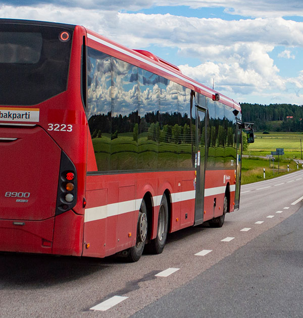 buss