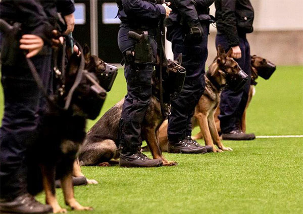 polishundar