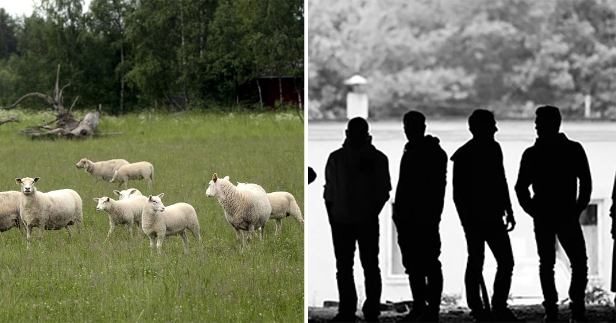Ungdomar, får