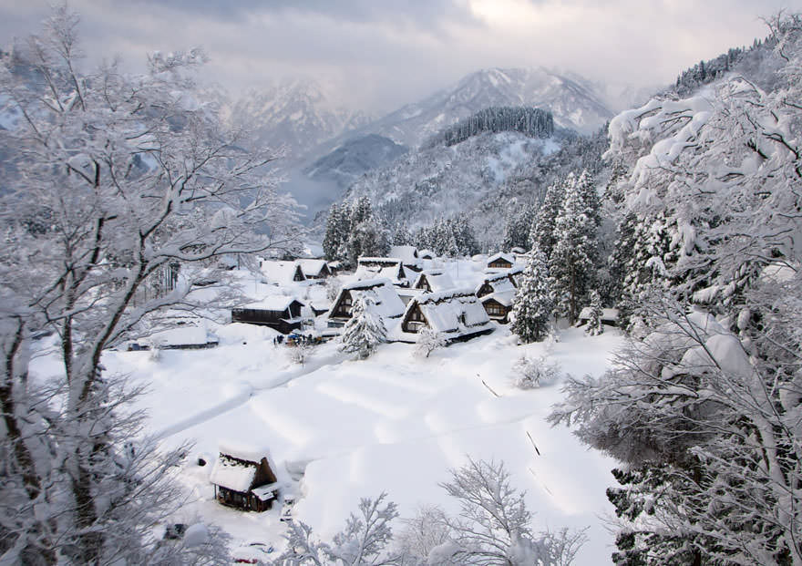 Japonia