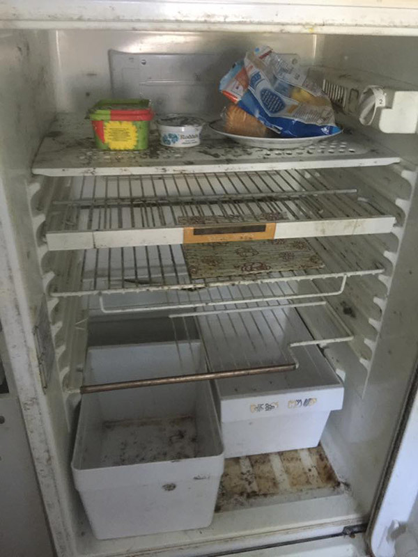 L'immagine mostra un frigorifero vuoto e ammuffito