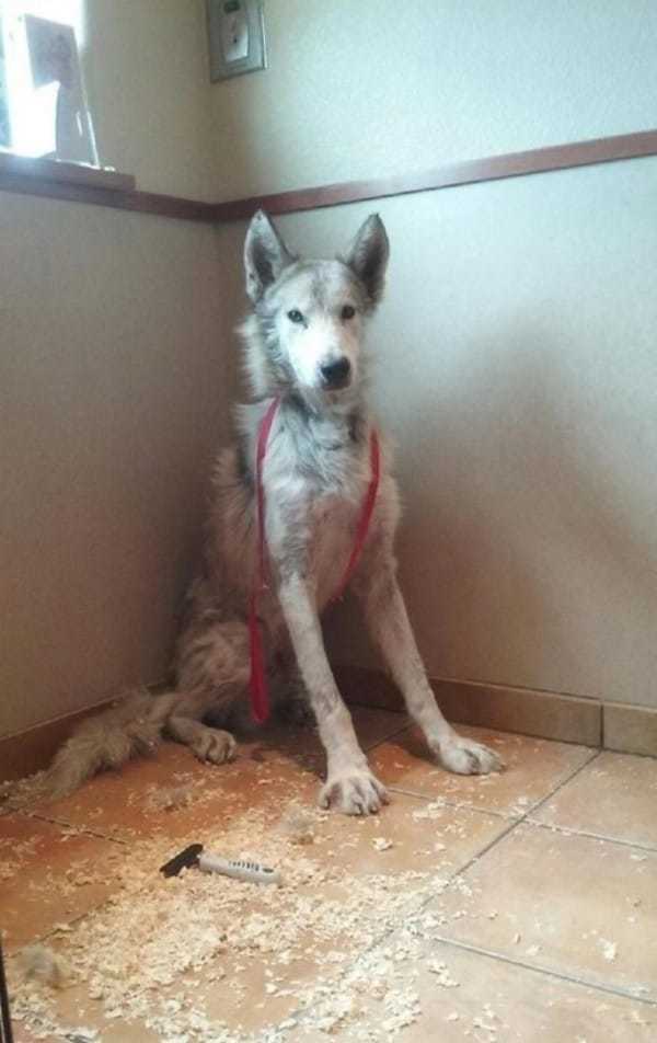 Na zdjęciu znajduje się krótko ostrzyżony Castiel