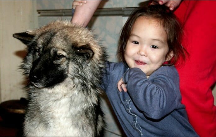 Na zdjęciu znajduje się mała dziewczynka z psem