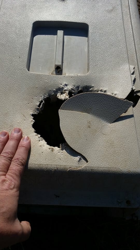 Na zdjęciu widać, jak Charlie pogryzła górną, plastikową część transportera, w którym została uwięziona
