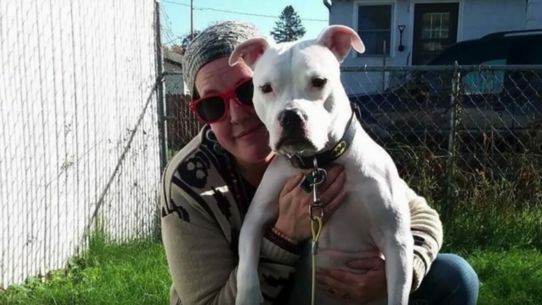 Rocco i Kelly